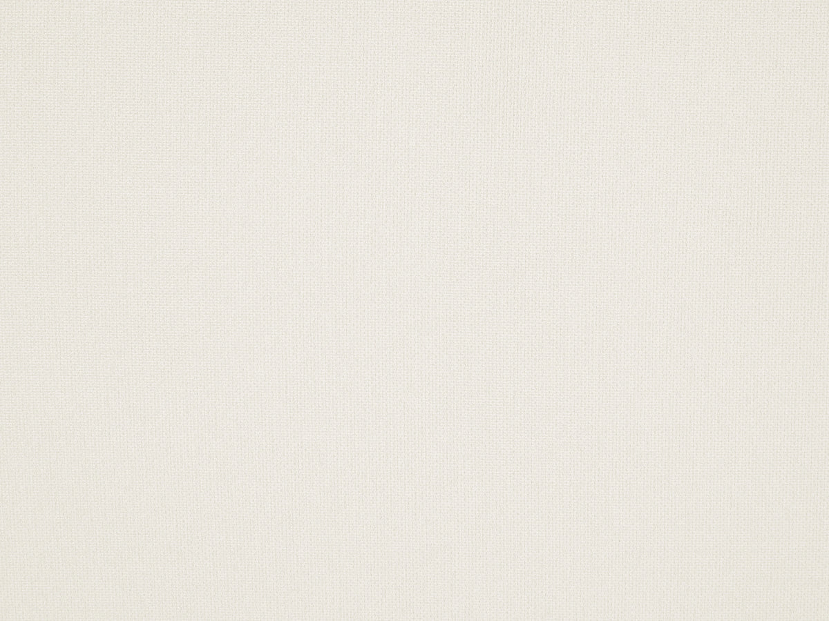 Solid light gray color swatch