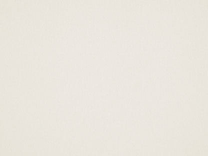 Solid light gray color swatch